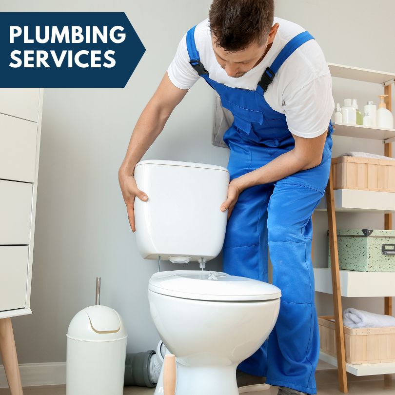 Plumbing Company in Merritt, MI